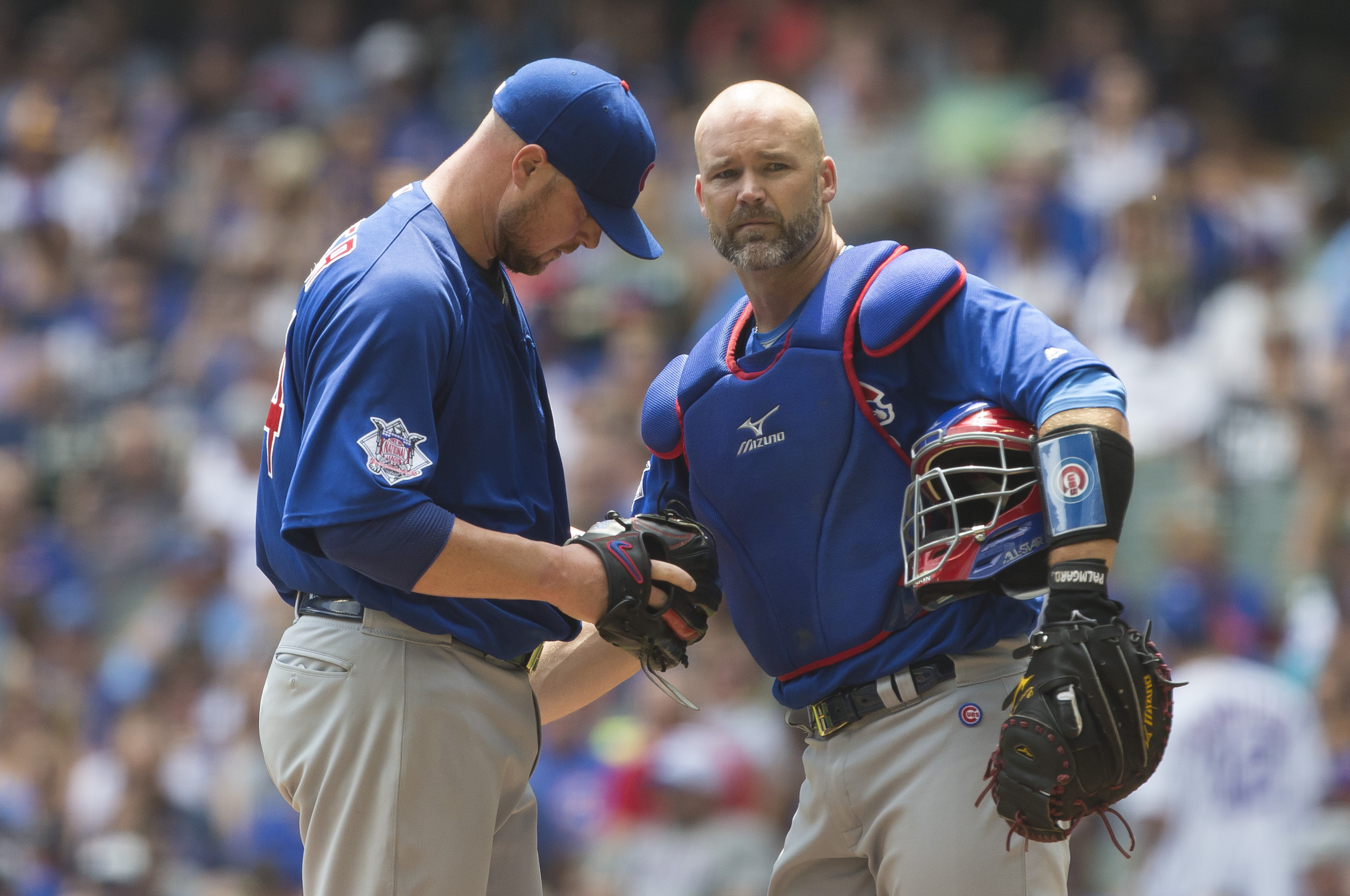 Cubs Hire Former Catcher David Ross as Their New Manager